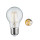 Paulmann 285.70 LED Filament Leuchtmittel 4,5W Lampe E27 Warmweiß Dimmschaltbar