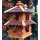 DARLUX Vogelvilla L Sechseck Doppelstock Holz Vogelhaus + Ständer Braun/ Rot Garten Vogelfutterhaus Wetterfest