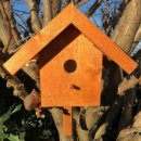 DARLUX Holz Nistkasten Nisthaus Brutstätte für kleine Singvögel Braun/Grün