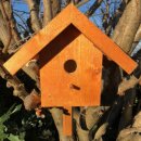 DARLUX Garten Holz Nistkasten Nisthaus Brutstätte für kleine Singvögel Braun/ Blau Wetterfest