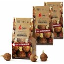 36 x Feuerkugel Kamin- und Grillanzünder Anzündhilfe lange Brenndauer Feuerbällchen