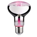 Paulmann 287.33 LED Lampe Pflanzenlicht 6,5W Leuchtmittel Wachstumslicht R80