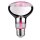 Paulmann 287.33 LED Lampe Pflanzenlicht 6,5W Leuchtmittel Wachstumslicht R80