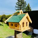 DARLUX Rechteckiges Vogel Futter Haus L Futterstelle Holz-Vogelhaus Natur/Grün