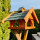 DARLUX Rechteckiges Vogel Futter Haus L Futterstelle Holz Vogelhaus Braun/Grün