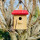 DARLUX Flachdach Nistkasten Brutstätte für kleine Singvögel Holz Natur/Rot