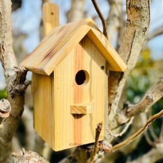 DARLUX Spitzdach Nistkasten Brutstätte für kleine Singvögel Holz Naturbelassen
