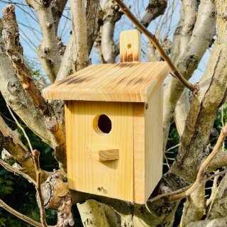 DARLUX Garten Flachdach Nistkasten Brutstätte für kleine Singvögel Holz Natur/ Geflammt Wetterfest