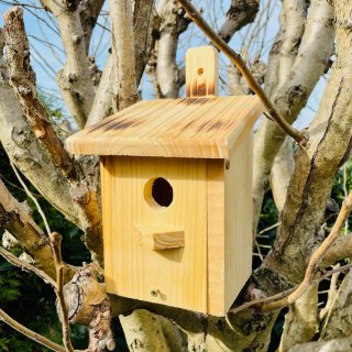DARLUX Flachdach Nistkasten Brutstätte für kleine Singvögel Holz Natur/Geflammt