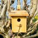 DARLUX Garten Flachdach Nistkasten Brutstätte für kleine Singvögel Holz Natur/ Geflammt Wetterfest