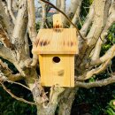 DARLUX Garten Flachdach Nistkasten Brutstätte für kleine Singvögel Holz Natur/ Geflammt Wetterfest