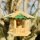 DARLUX Sechseck Holz Vogel Futter Haus S Ø 22 cm Futterstelle Hängend Natur/Grün