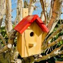 DARLUX Spitzdach Nistkasten Brutstätte für kleine Singvögel Holz Natur/ Rot