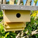 DARLUX Garten Natur Holz Nistkasten mit Marderschutz für Kohlmeise u. kleine Singvögel Wetterfest Artgerecht nach NABU