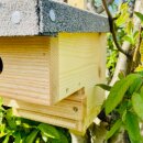 DARLUX Garten Natur Holz Nistkasten mit Marderschutz für Kohlmeise u. kleine Singvögel Wetterfest Artgerecht nach NABU