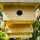DARLUX Natur Holz Nistkasten mit Marderschutz für Kohlmeise u. kleine Singvögel