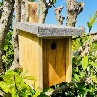 DARLUX Natur Holz Nistkasten für Kohlmeise u. kleine Singvögel Ø 32 mm