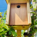 DARLUX Garten Natur Holz Nistkasten für Kohlmeise u. kleine Singvögel Ø 32 mm Wetterfest Artgerecht nach NABU