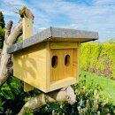 DARLUX Garten Natur Holz Nistkasten mit Marderschutz...