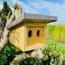 DARLUX Garten Natur Holz Nistkasten mit Marderschutz für Hausrotschwanz Rotkehlchen Wetterfest Artgerecht nach NABU