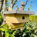 DARLUX Natur Holz Nistkasten mit Marderschutz für Blaumeise Ø26 kleine Singvögel