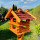 DARLUX Rechteckige Vogelvilla XL Doppelstock Vogelhaus + Ständer Holz Braun/ Rot