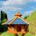 DARLUX Vogel Futter Haus XL Sechseck Holz Vogelhaus + Ständer Braun/ Blau Garten Vogelfutterhaus Wetterfest
