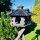DARLUX Vogelfutterhaus XL Sechseck Vogelhaus + Ständer Futterstelle Dunkelbraun Garten Vogelfutterhaus Wetterfest