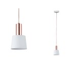 Paulmann 796.56 Deckenleuchte Haldar E14 Hänge Lampe...