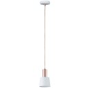 Paulmann 796.56 Deckenleuchte Haldar E14 Hänge Lampe...