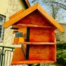 DARLUX 3 Etagen Taubenhaus XXL, Nistkasten für Tauben, Holz Taubenschlag Grün