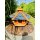 DARLUX Vogelfutterhaus I Futterstelle I Sechseck Vogelhaus I aus Holz I Braun/ Blau I Garten I Vogelfutterhaus I Wetterfest