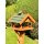 DARLUX Rechteckiges Vogel Futter Haus Holz Vogelhaus + Ständer Braun / Grün