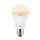 Paulmann 281.80 LED Deko Leuchtmittel 7W Lampe E27 Goldlicht 2000K Kerzenlicht