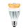 Paulmann 282.23 LED Leuchtmittel 17W Lampe E27 Warmweiß AGL dimmbar